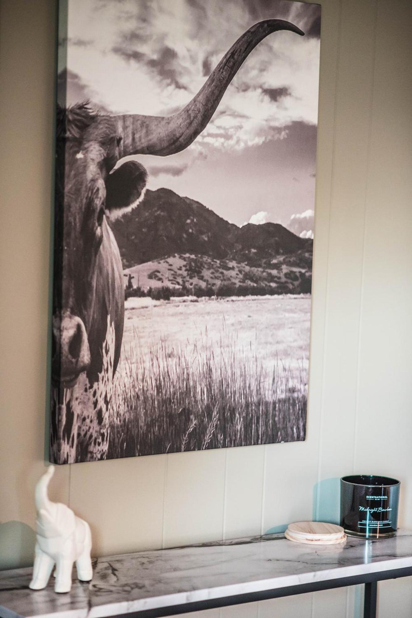 Mount Tabor Ranch Near Vt - King Bed/Fast Wi-Fi Villa Blacksburg Eksteriør bilde